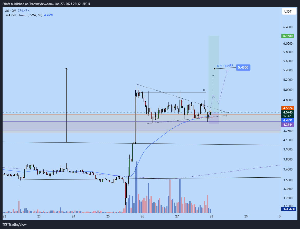 BINANCE:OMUSDT Chart Image by Filnft