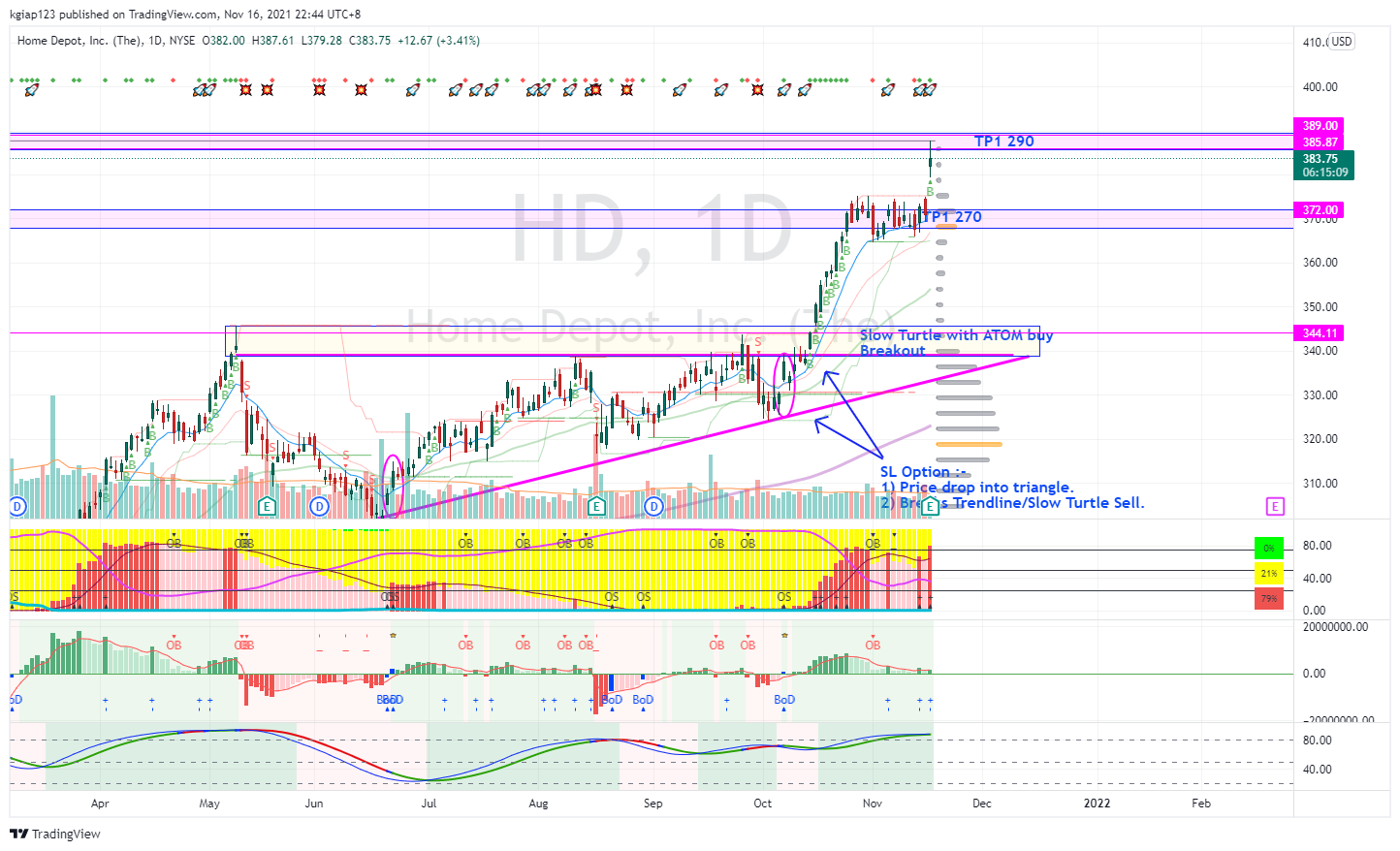 NYSE:HD Chart Image by kgiap123