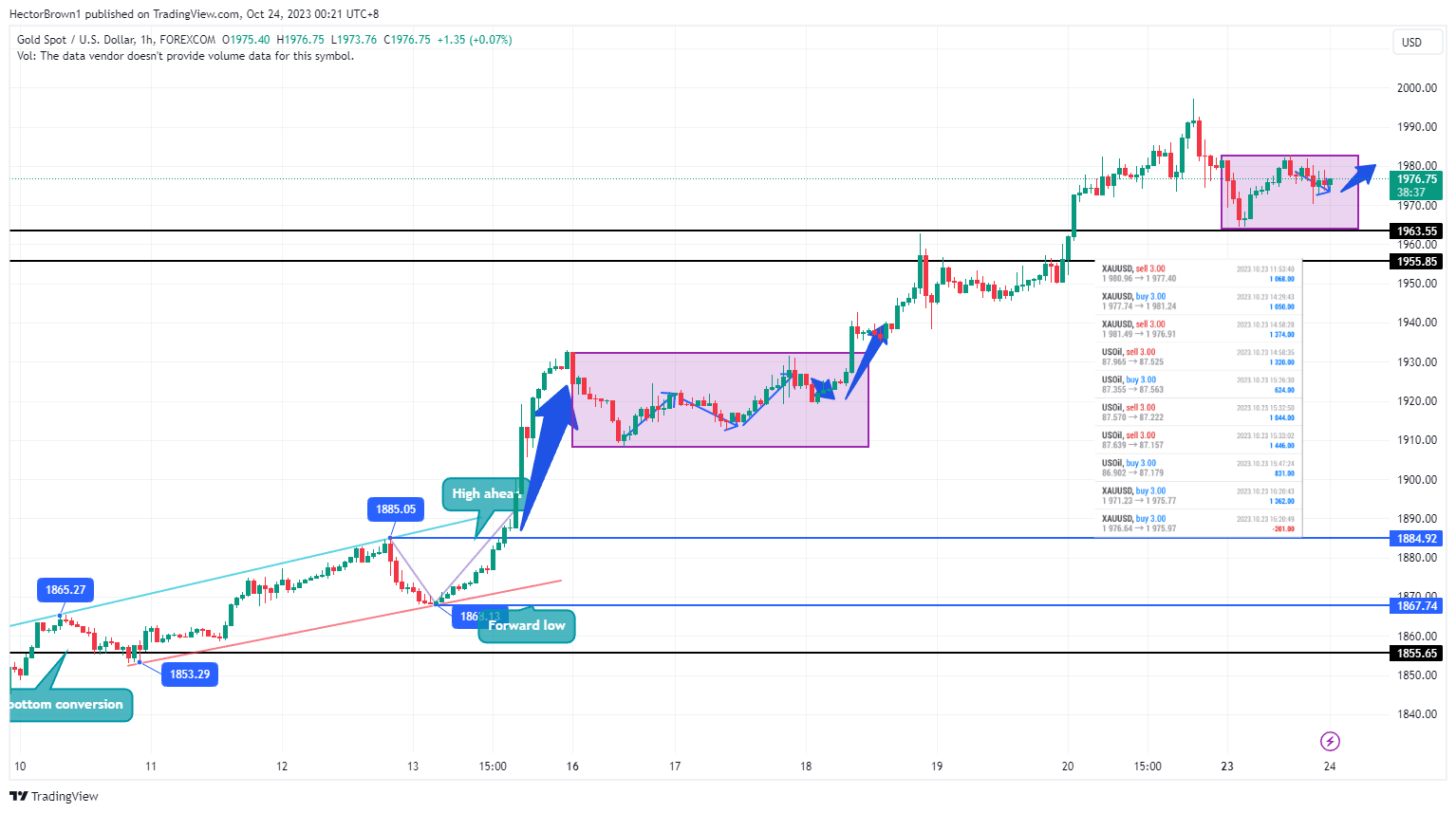 FOREXCOM:XAUUSD Chart Image by HectorBrown1
