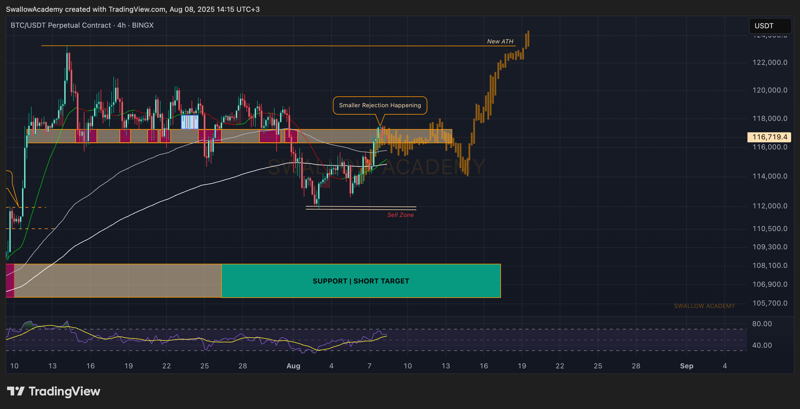 BINGX:BTCUSDT.P Chart Image by SwallowAcademy