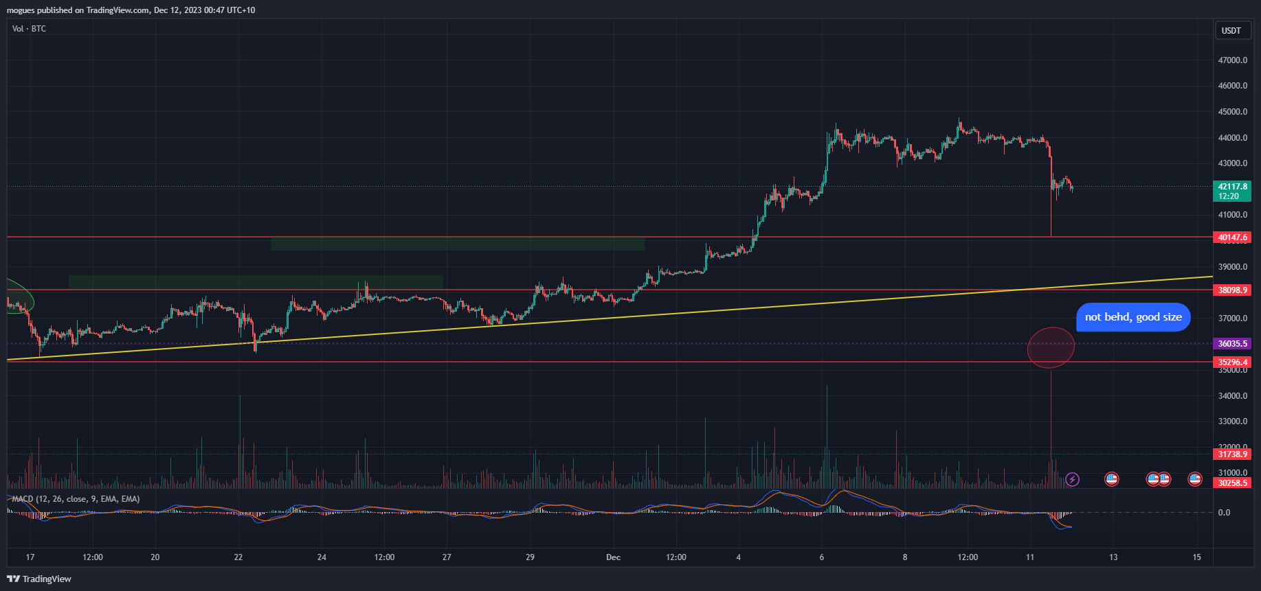 BYBIT:BTCUSDT.P Chart Image by mogues