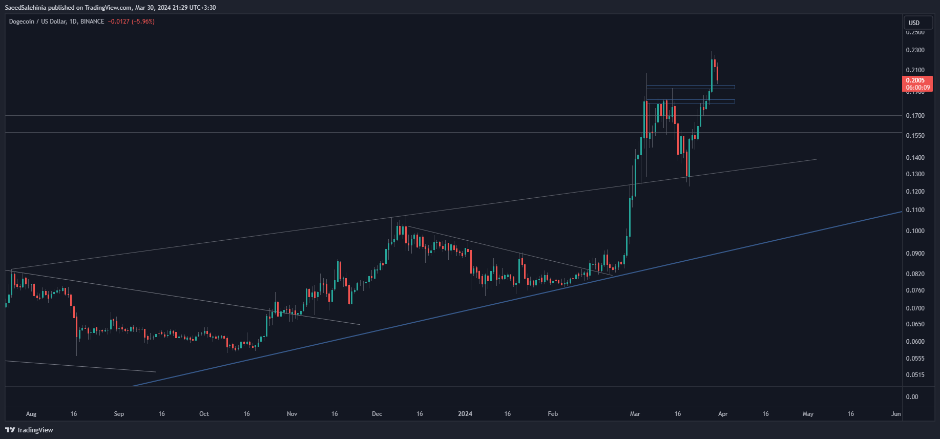 BINANCE:DOGEUSD Chart Image by SaeedSalehinia
