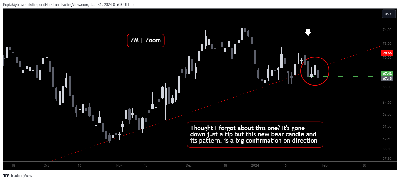 BATS:ZM Chart Image by PopiaMytravelbirdie