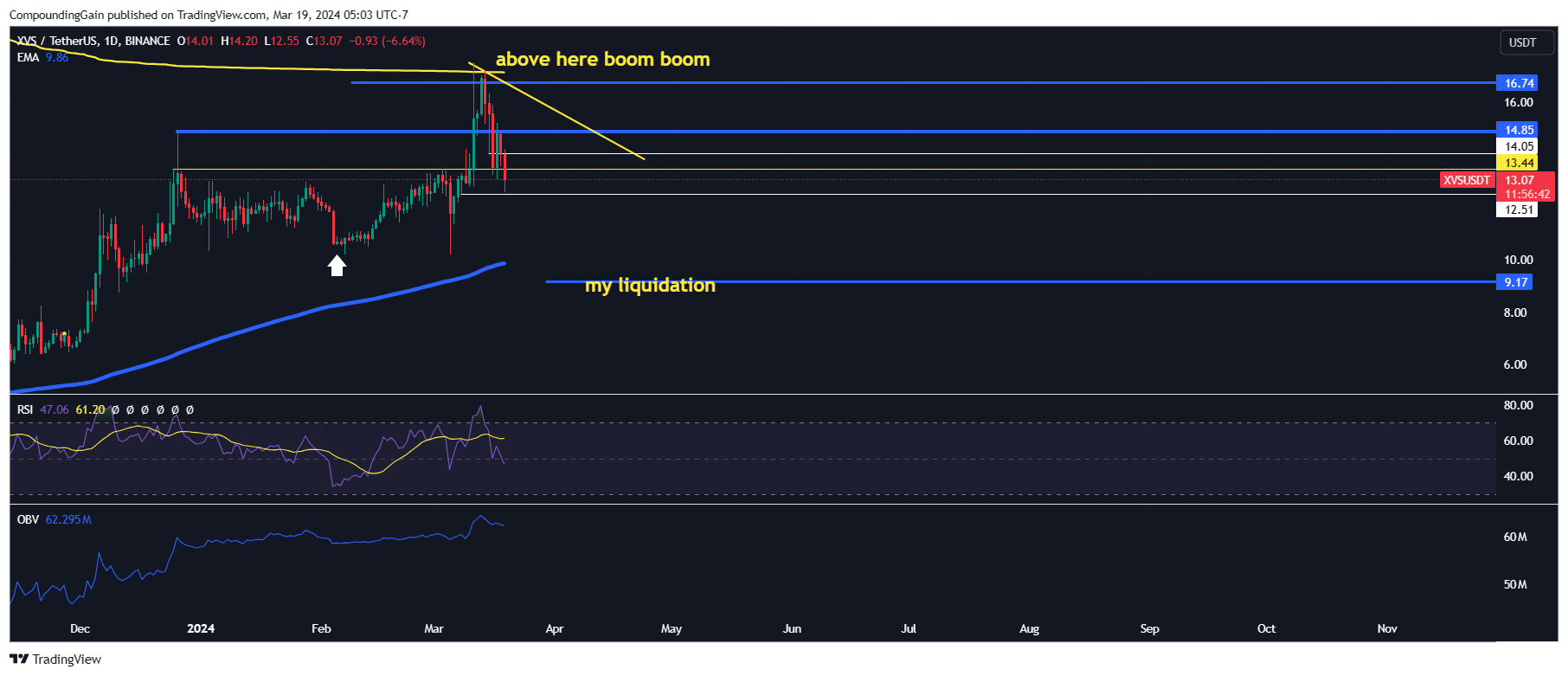 BINANCE:XVSUSDT Chart Image by CompoundingGain