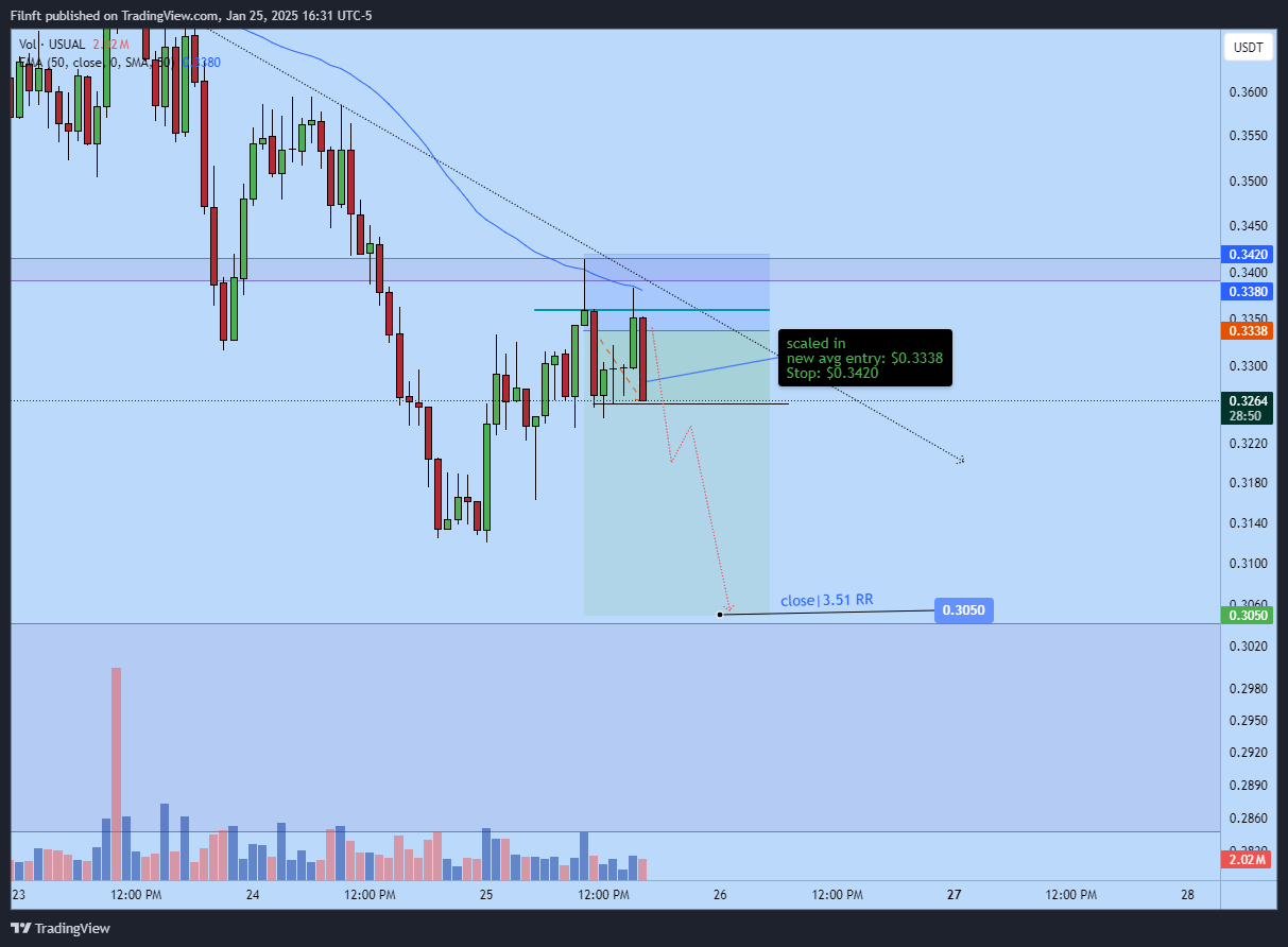 BINANCE:USUALUSDT Chart Image by Filnft