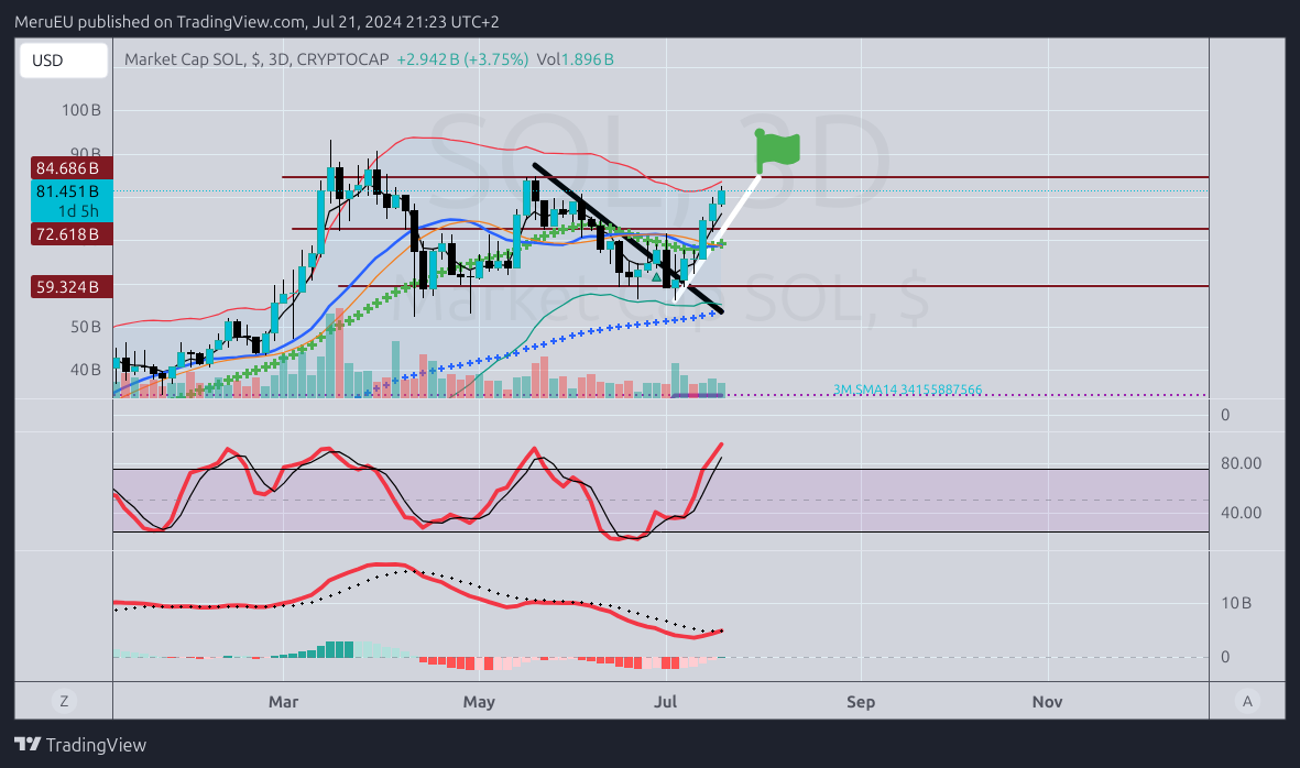 CRYPTOCAP:SOL Chart Image by MeruEU