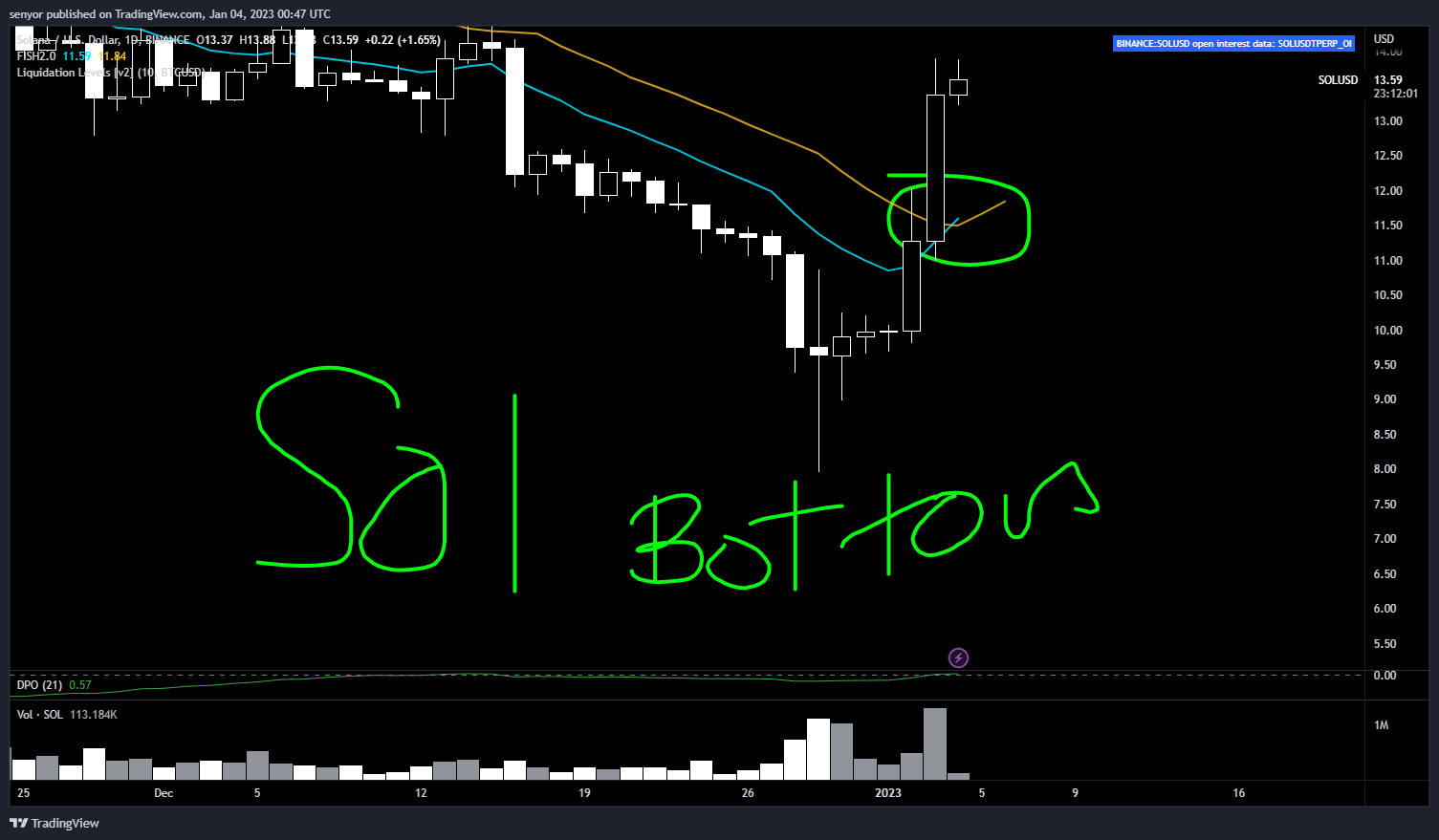 BINANCE:SOLUSD Chart Image by senyor