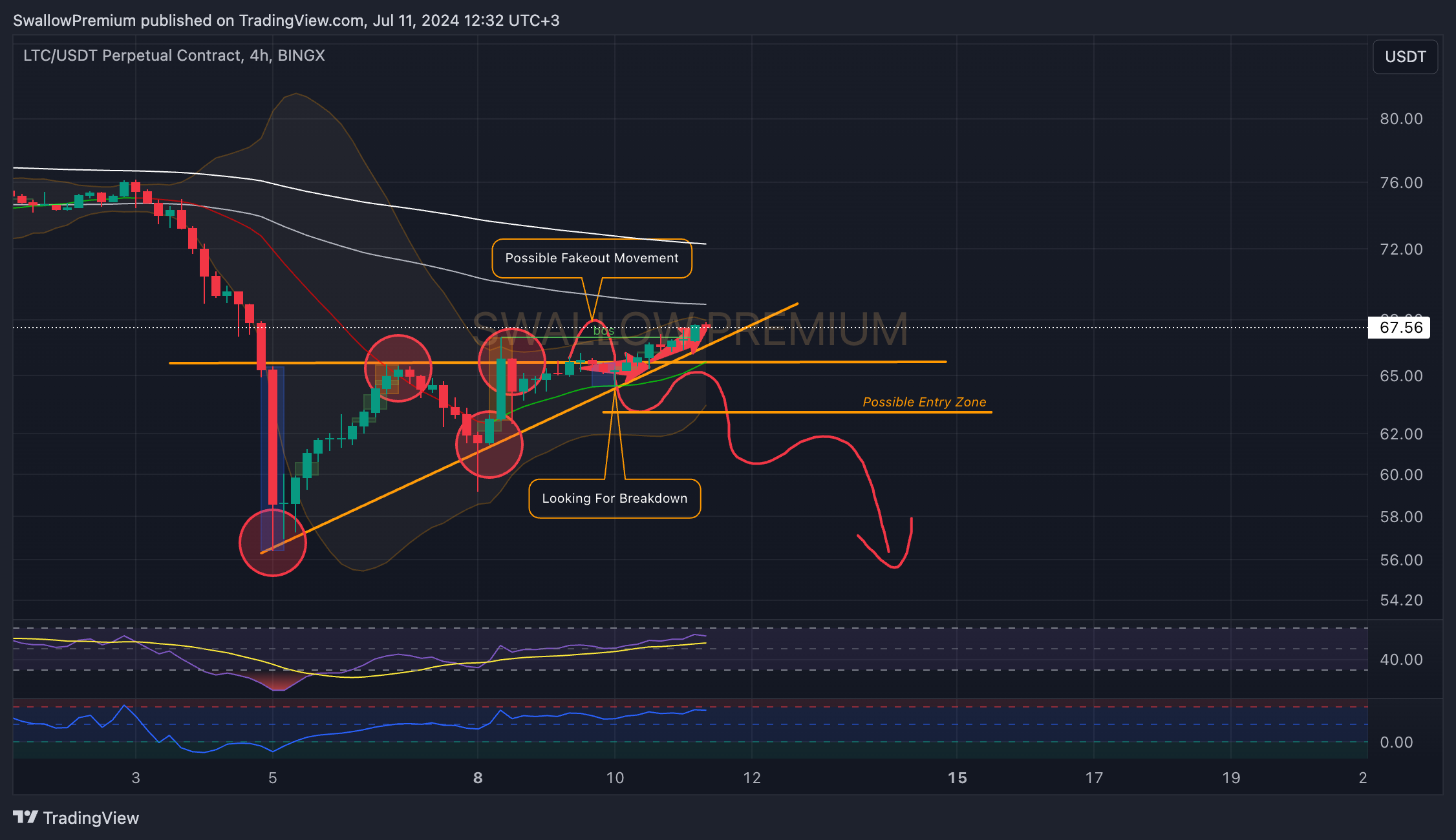 BINGX:LTCUSDT.P Chart Image by SwallowAcademy
