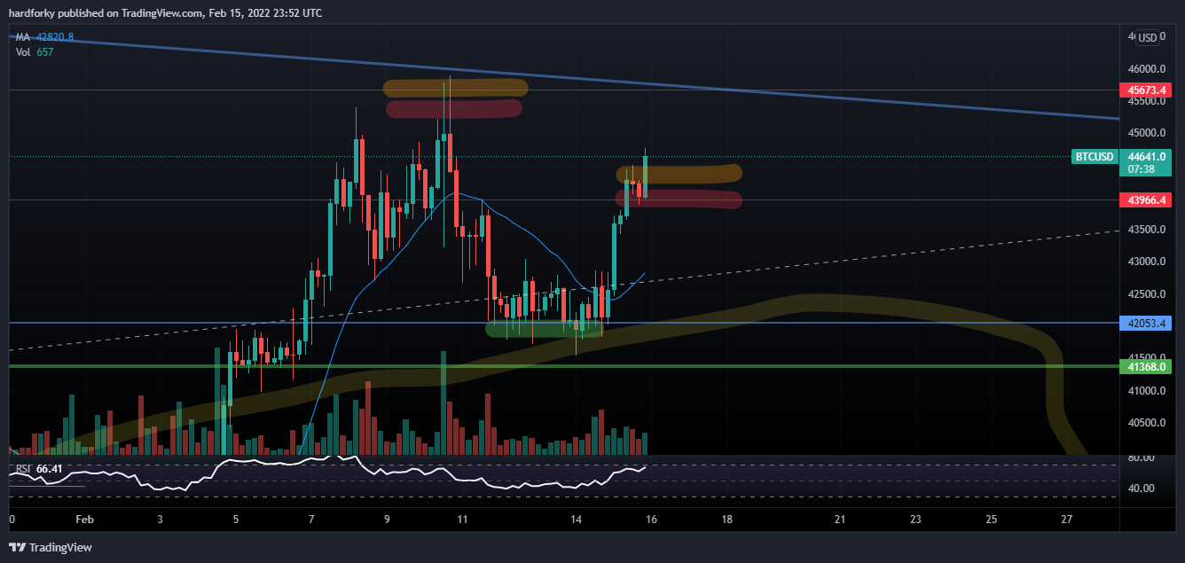 BITFINEX:BTCUSD Chart Image by hardforky