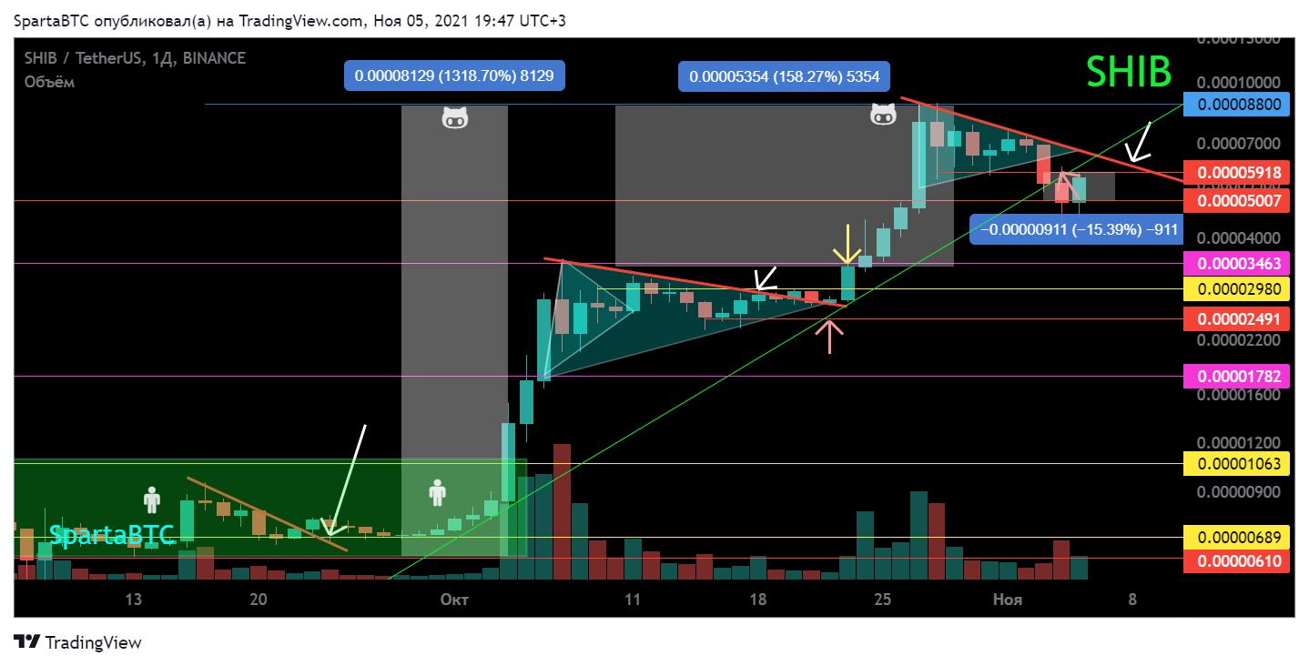 BINANCE:SHIBUSDT Chart Image by SpartaBTC