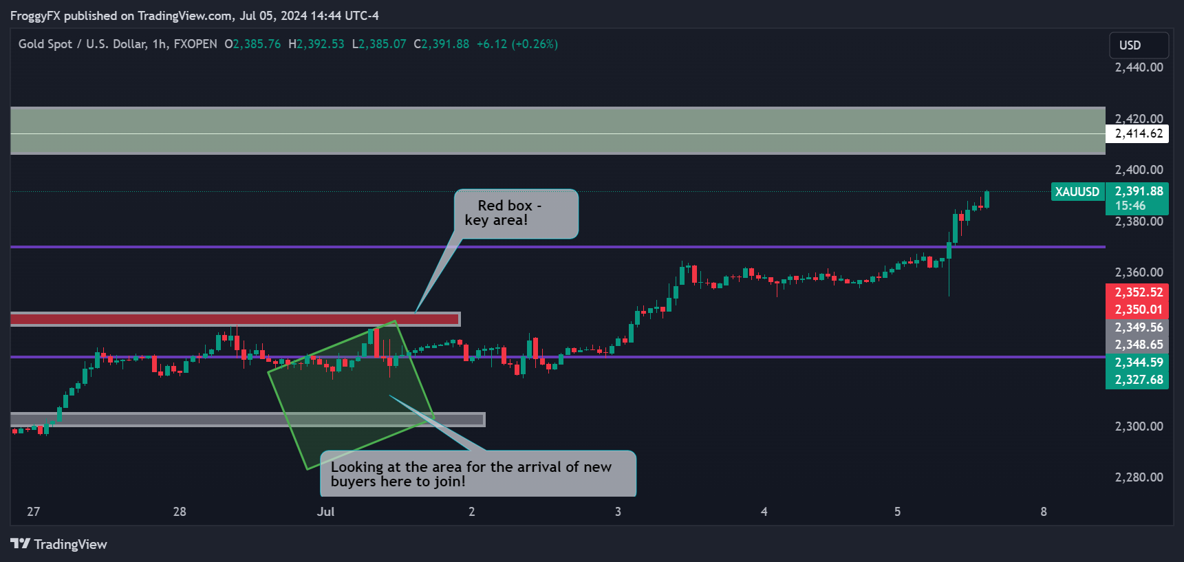 FXOPEN:XAUUSD Chart Image by FroggyFX