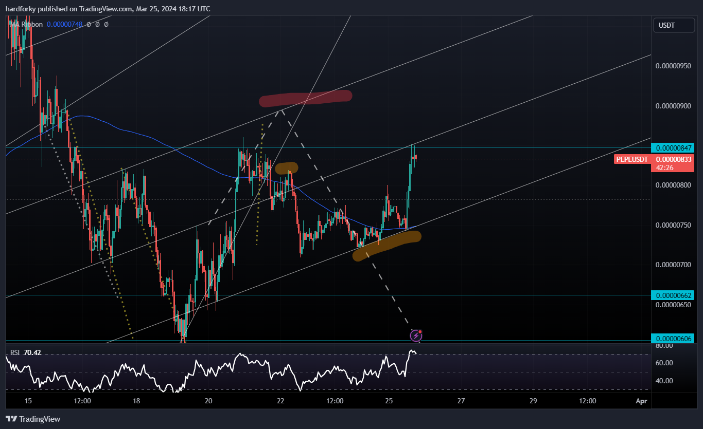 BINANCE:PEPEUSDT Chart Image by hardforky