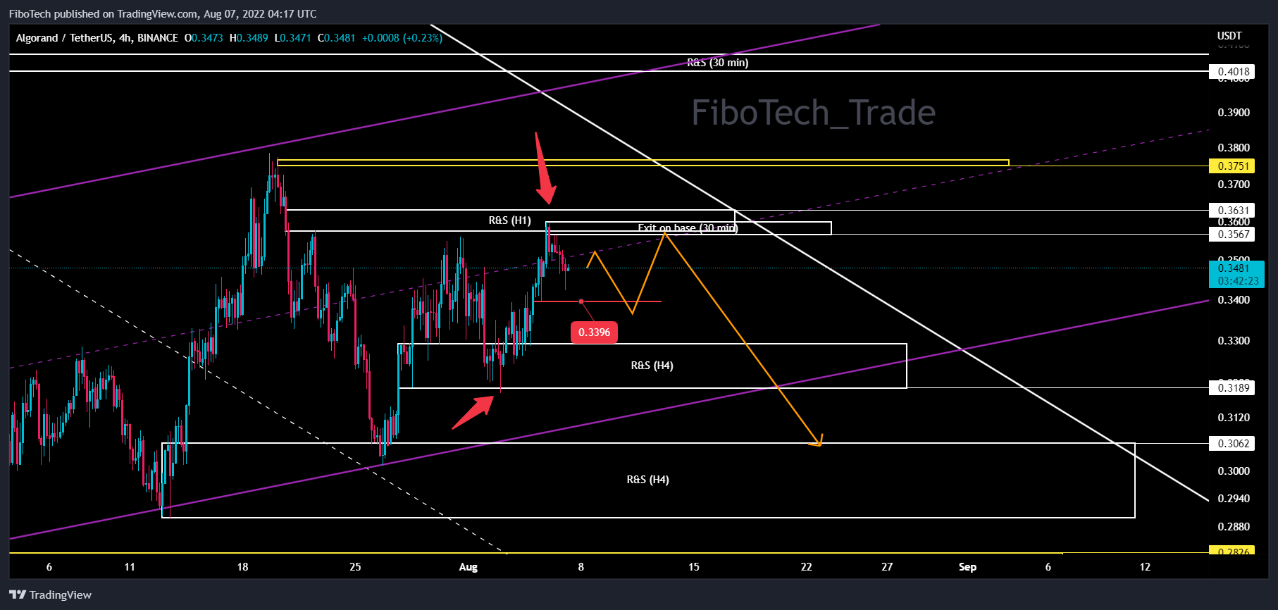 BINANCE:ALGOUSDT Chart Image by FiboTech