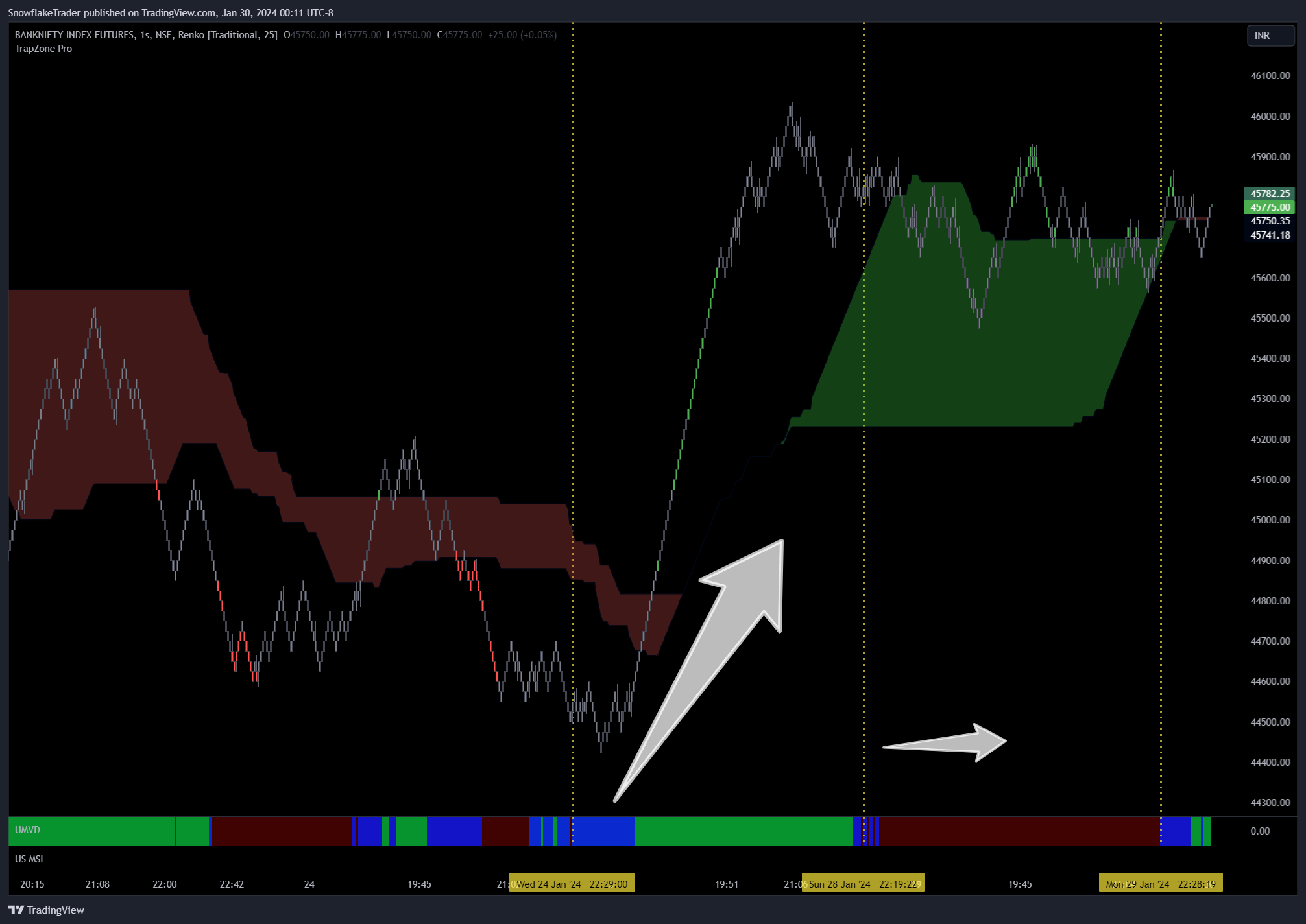 NSE:BANKNIFTY1! Chart Image by SnowflakeTrader