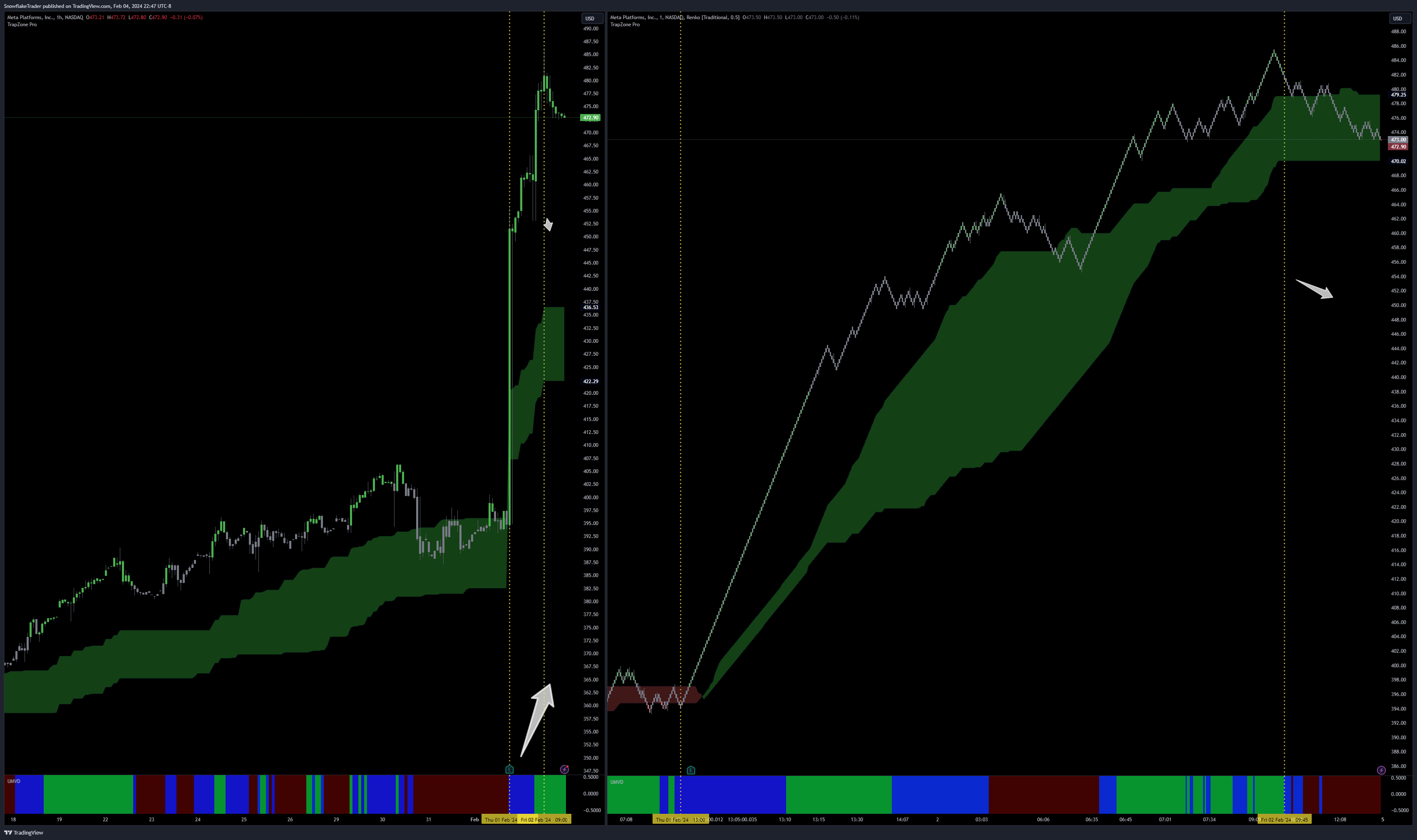 NASDAQ:META Chart Image by SnowflakeTrader