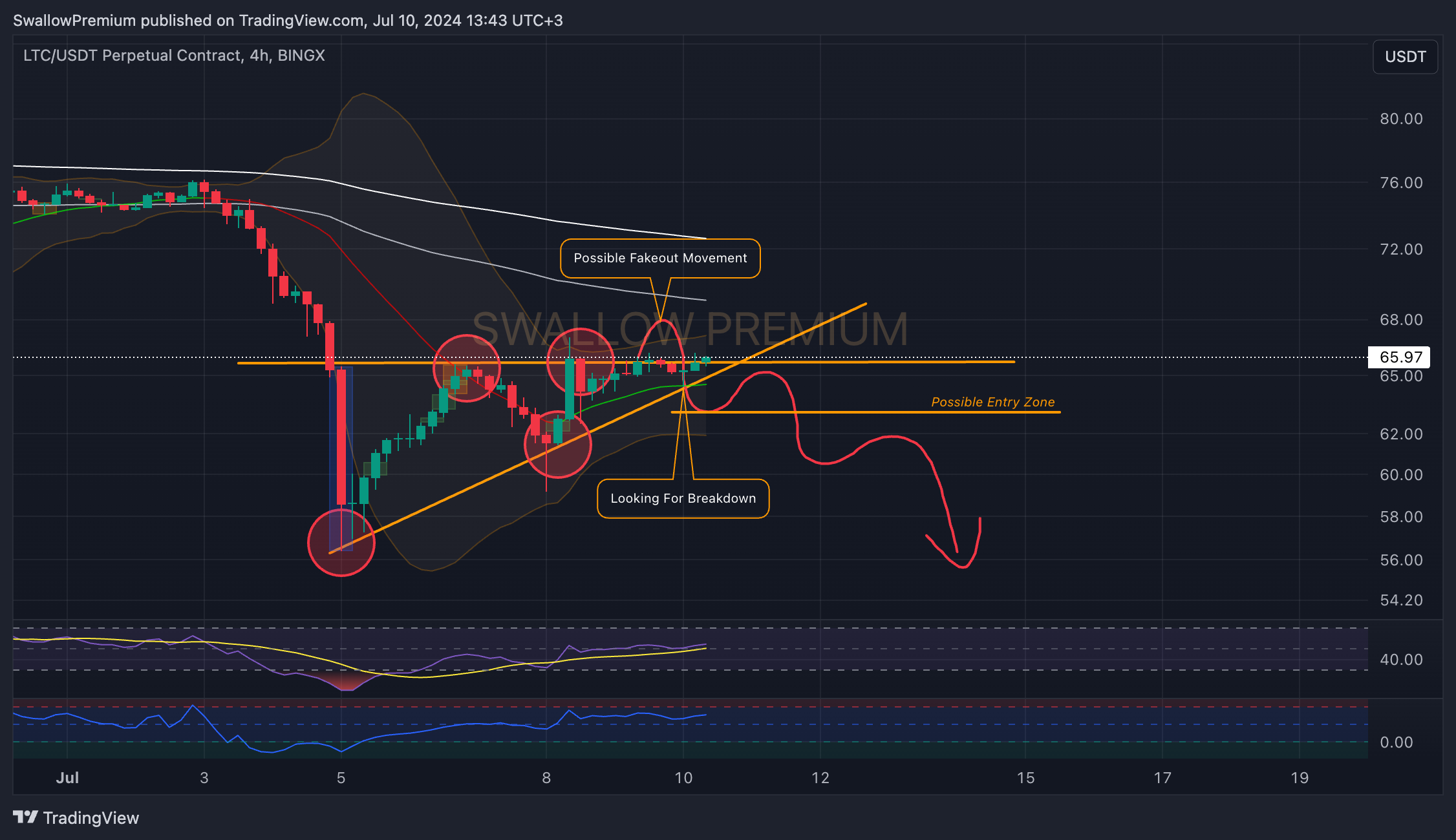 BINGX:LTCUSDT.P Chart Image by SwallowAcademy