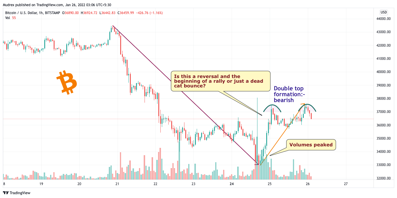 BITSTAMP:BTCUSD Chart Image by Mudrex