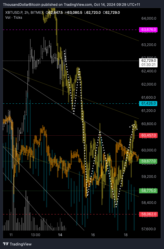 BITMEX:XBTUSD.P Chart Image by ThousandDollarBitcoin