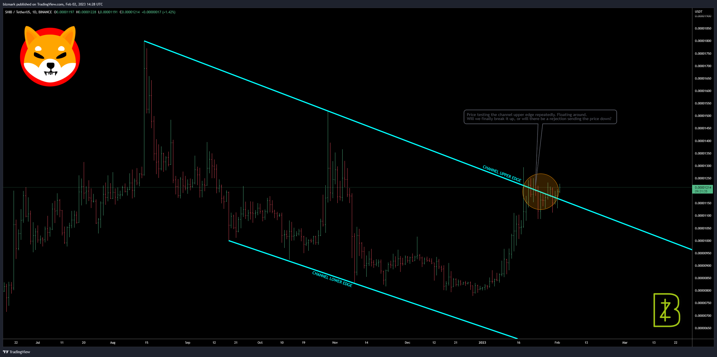 BINANCE:SHIBUSDT Chart Image by bizmark