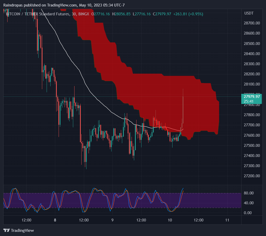 BINGX:BTCUSDT.PS Chart Image by Raindropas