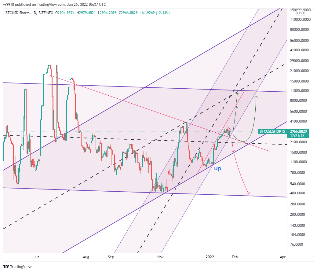 BITFINEX:BTCUSDSHORTS Chart Image by vr9910