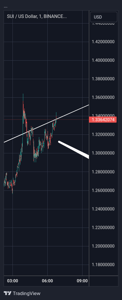 BINANCE:SUIUSD Chart Image by Sharecrazy