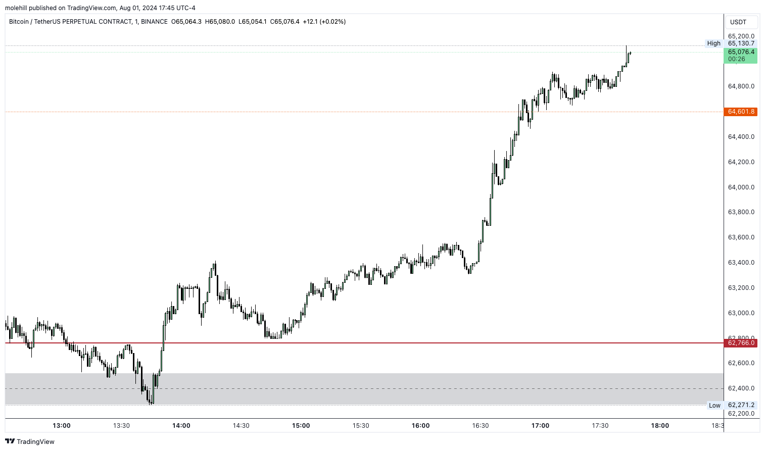 BINANCE:BTCUSDT.P Chart Image by molehill