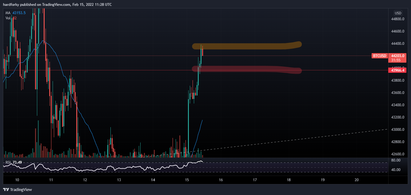 BITFINEX:BTCUSD Chart Image by hardforky