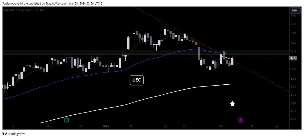 BATS:UEC Chart Image by PopiaMytravelbirdie