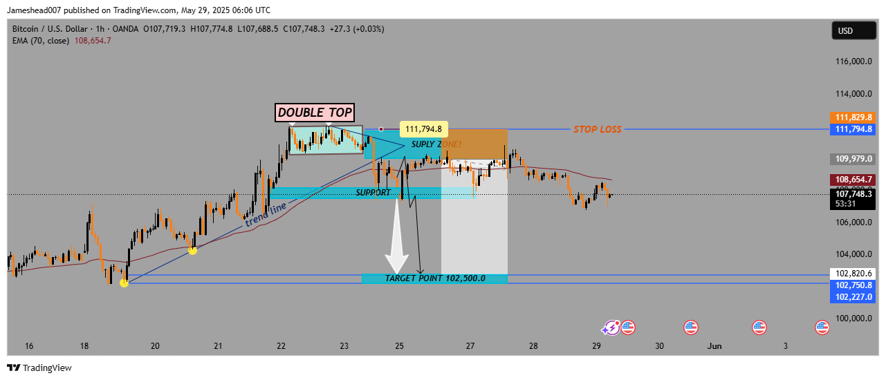 OANDA:BTCUSD Chart Image by Jameshead007