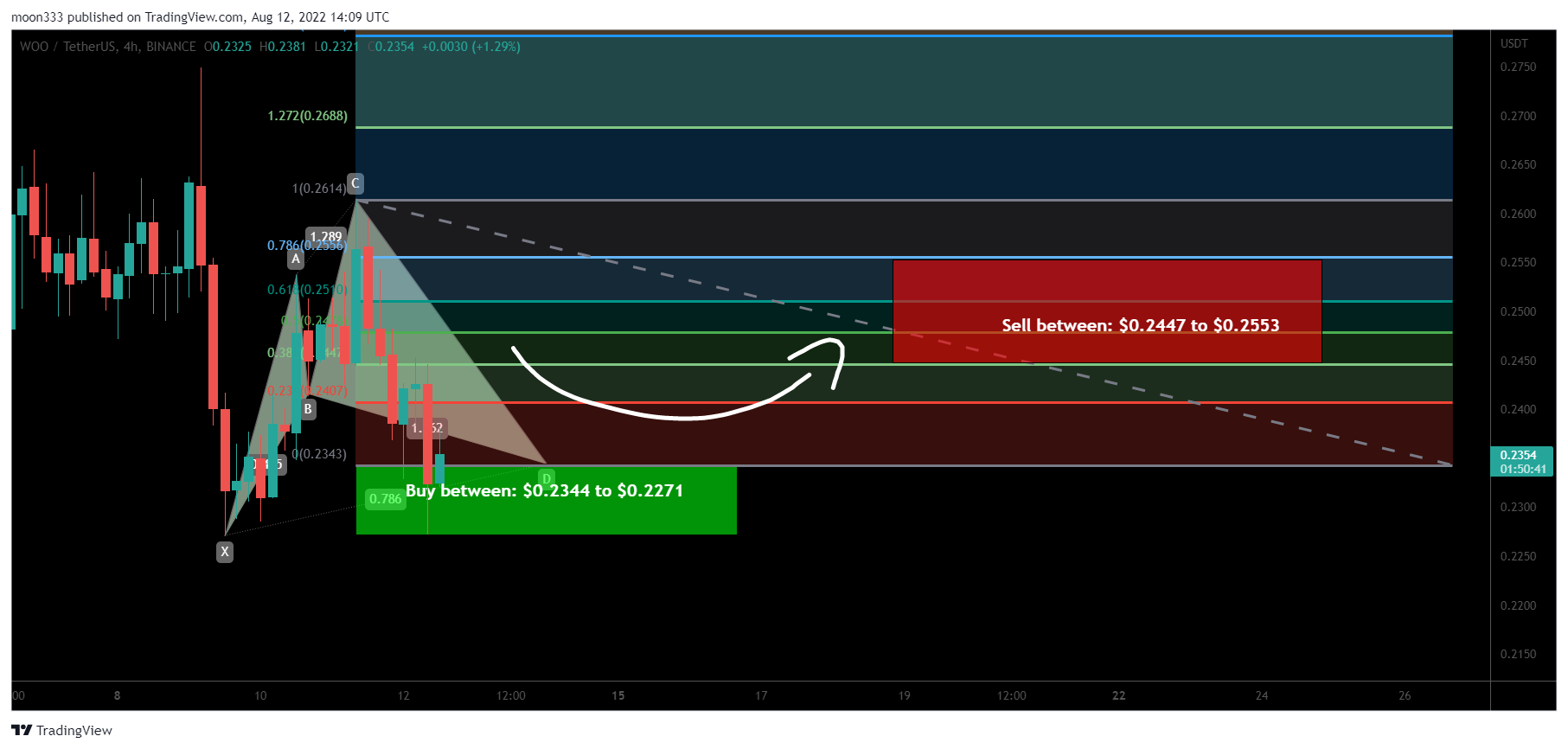 BINANCE:WOOUSDT Chart Image by moon333