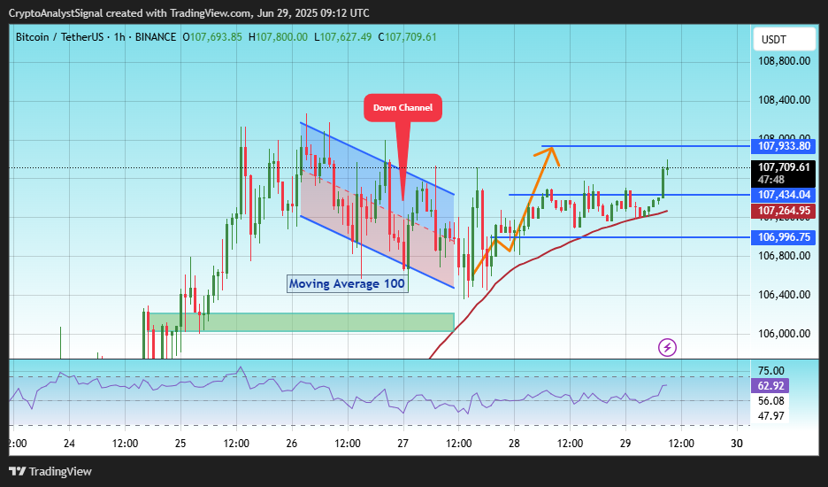BINANCE:BTCUSDT Chart Image by CryptoAnalystSignal
