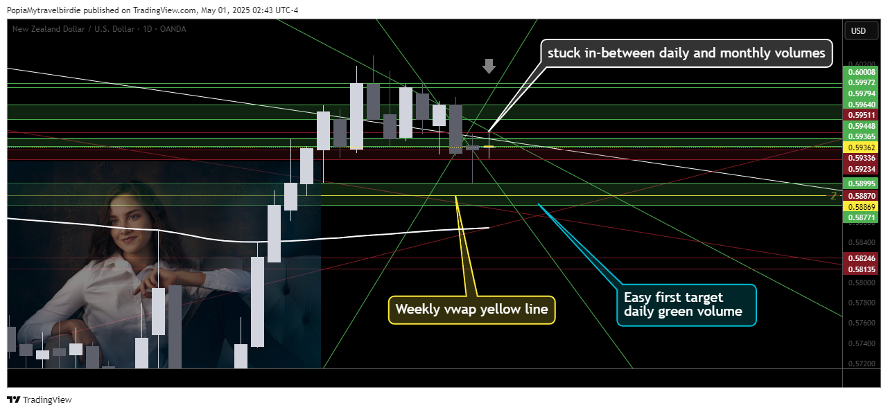 OANDA:NZDUSD Chart Image by PopiaMytravelbirdie