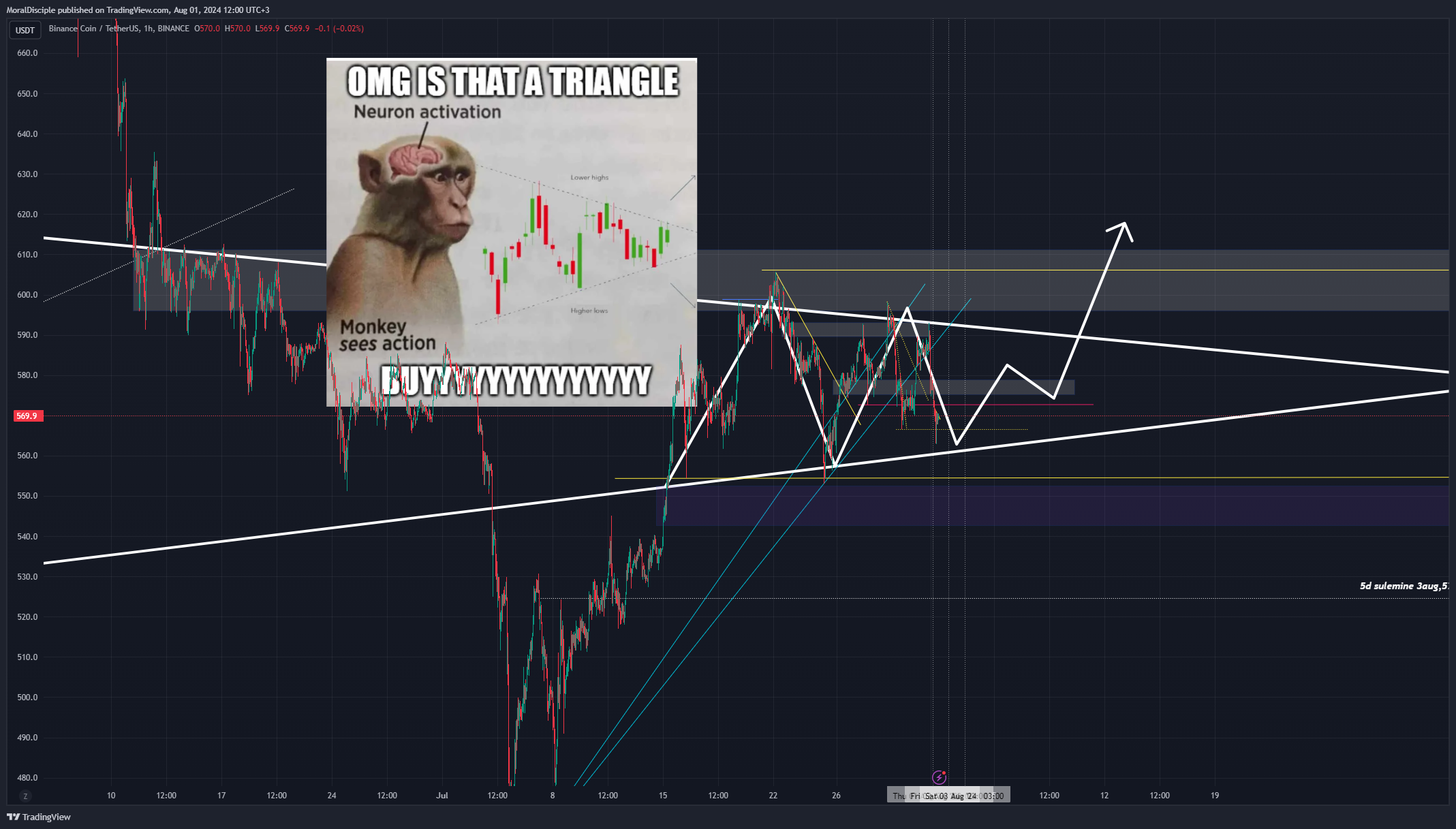 BINANCE:BNBUSDT Chart Image by MoralDisciple