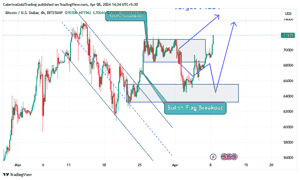 BITSTAMP:BTCUSD Chart Image by CaterinaGoldTrading