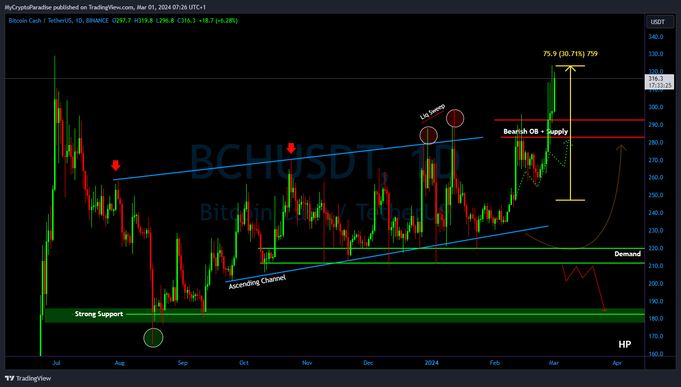 BINANCE:BCHUSDT Chart Image by MyCryptoParadise
