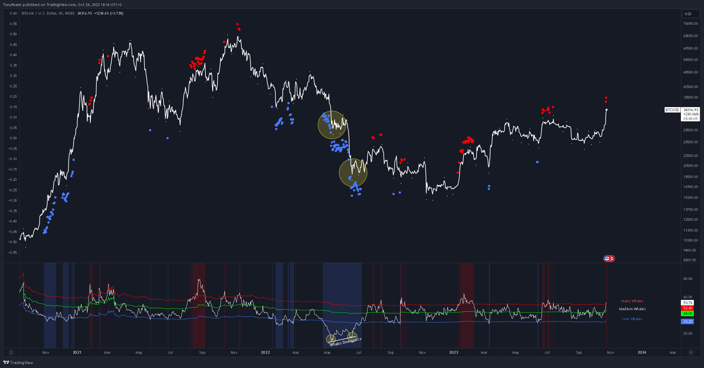 INDEX:BTCUSD Chart Image by BlackMammoth