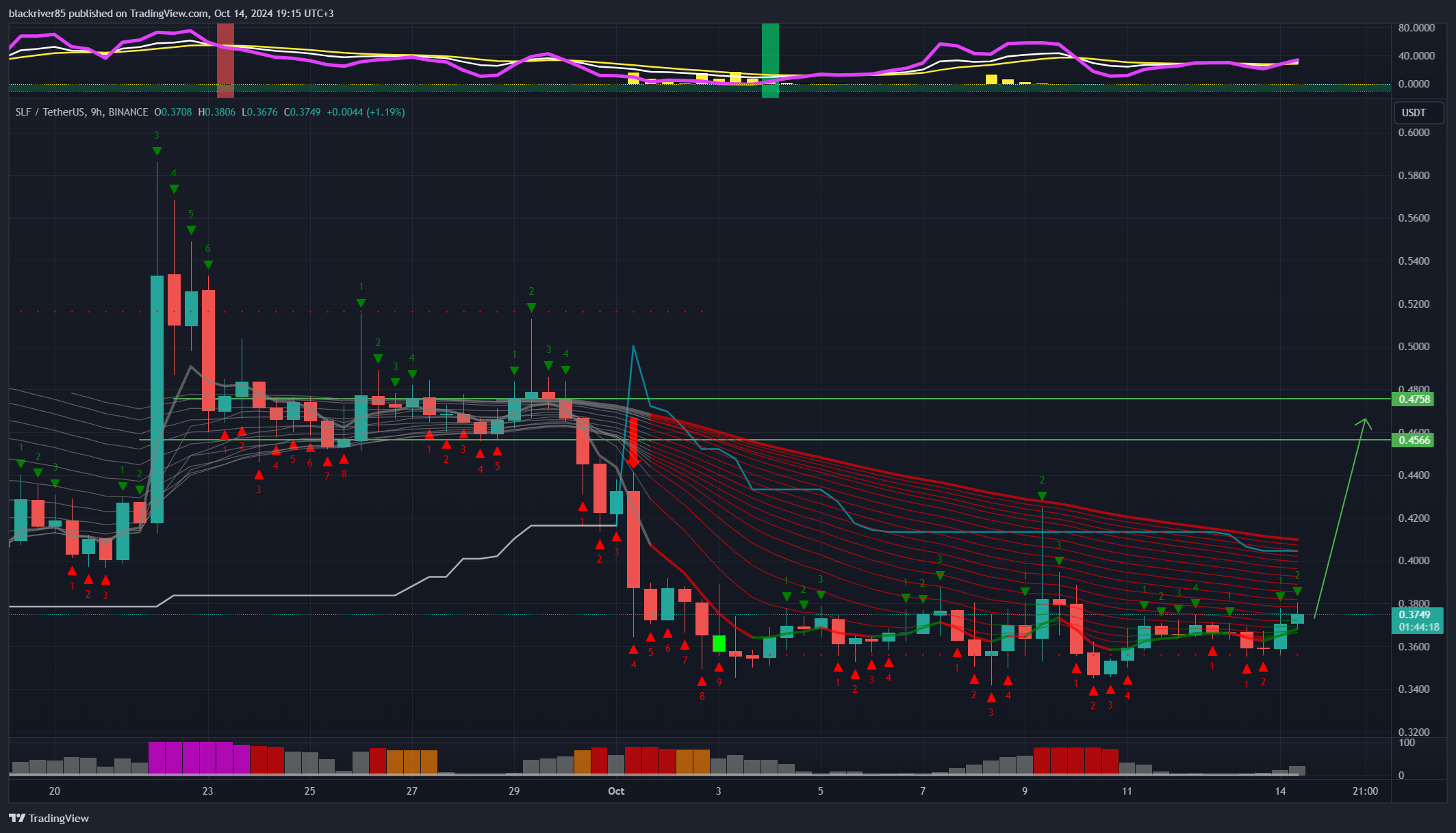 BINANCE:SLFUSDT Chart Image by blackriver85