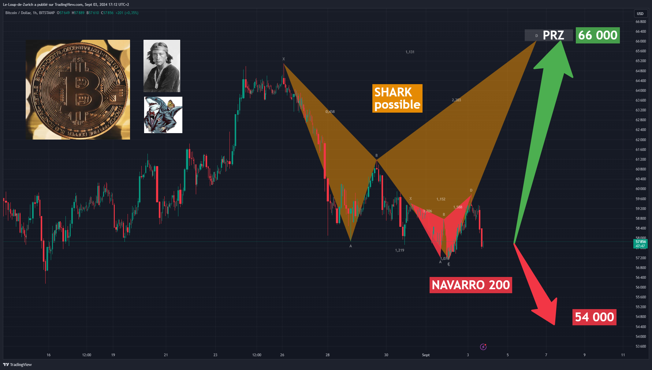 BITSTAMP:BTCUSD Chart Image by Le-Loup-de-Zurich