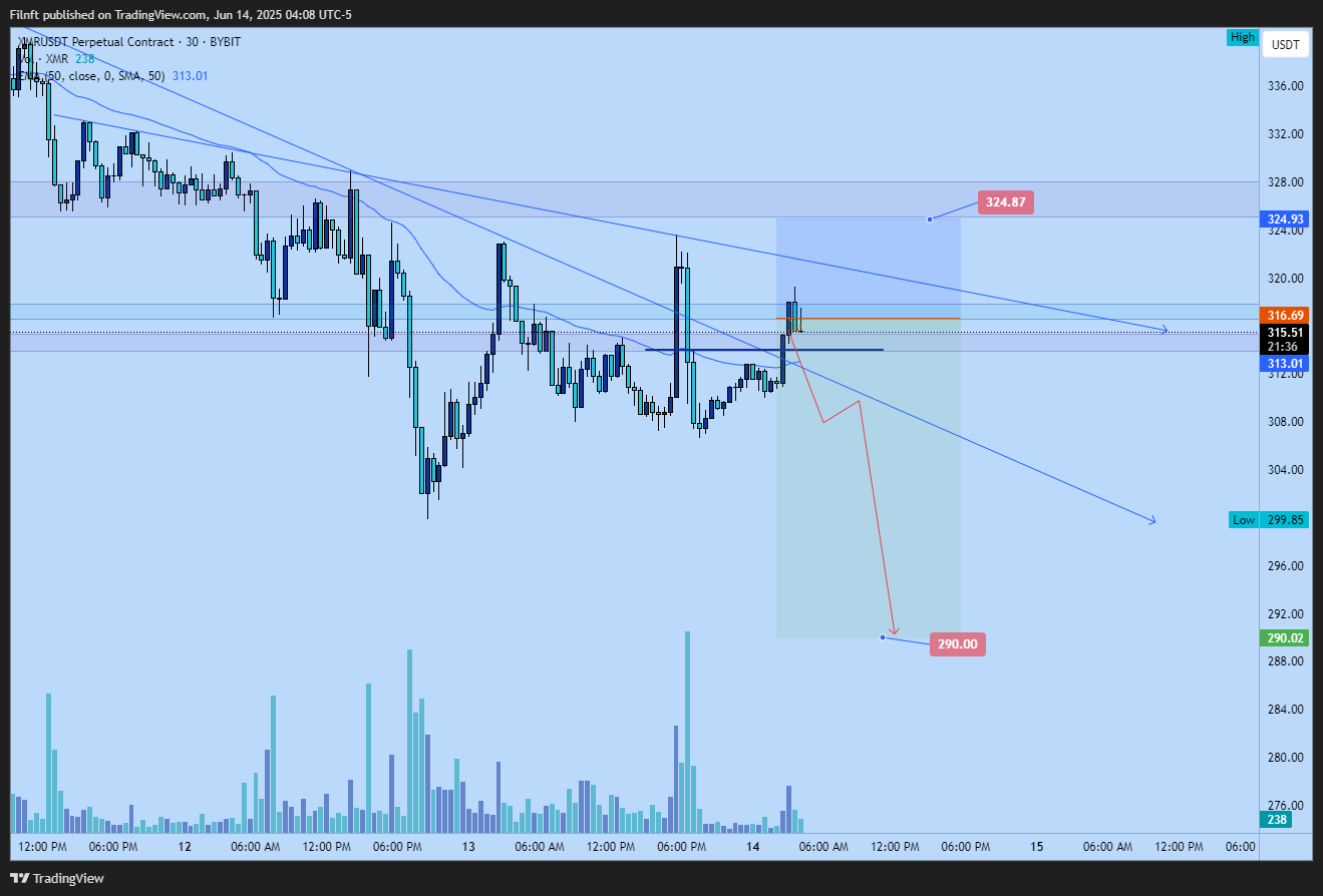 BYBIT:XMRUSDT.P Chart Image by Filnft