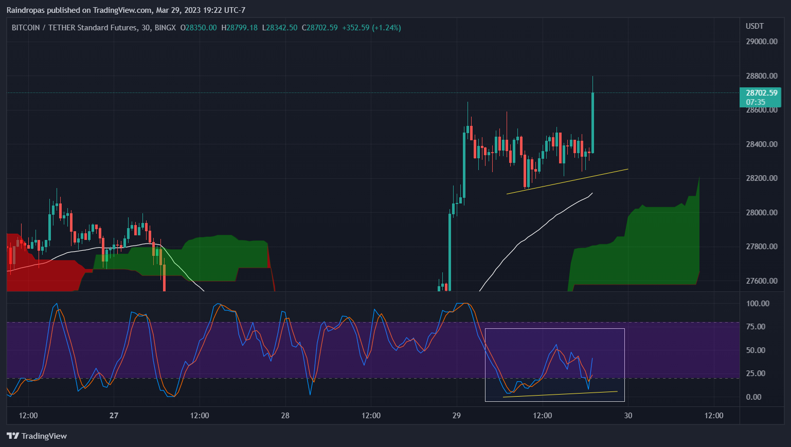 BINGX:BTCUSDT.PS Chart Image by Raindropas