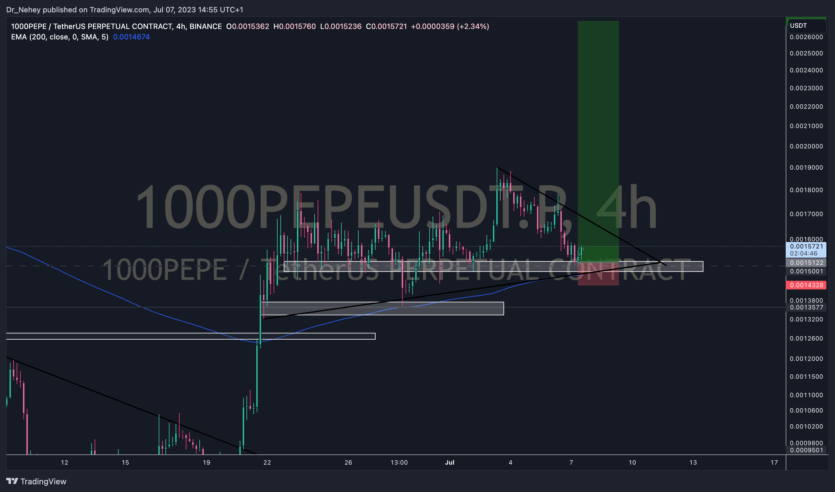 BINANCE:1000PEPEUSDT.P Chart Image by DN_Trades