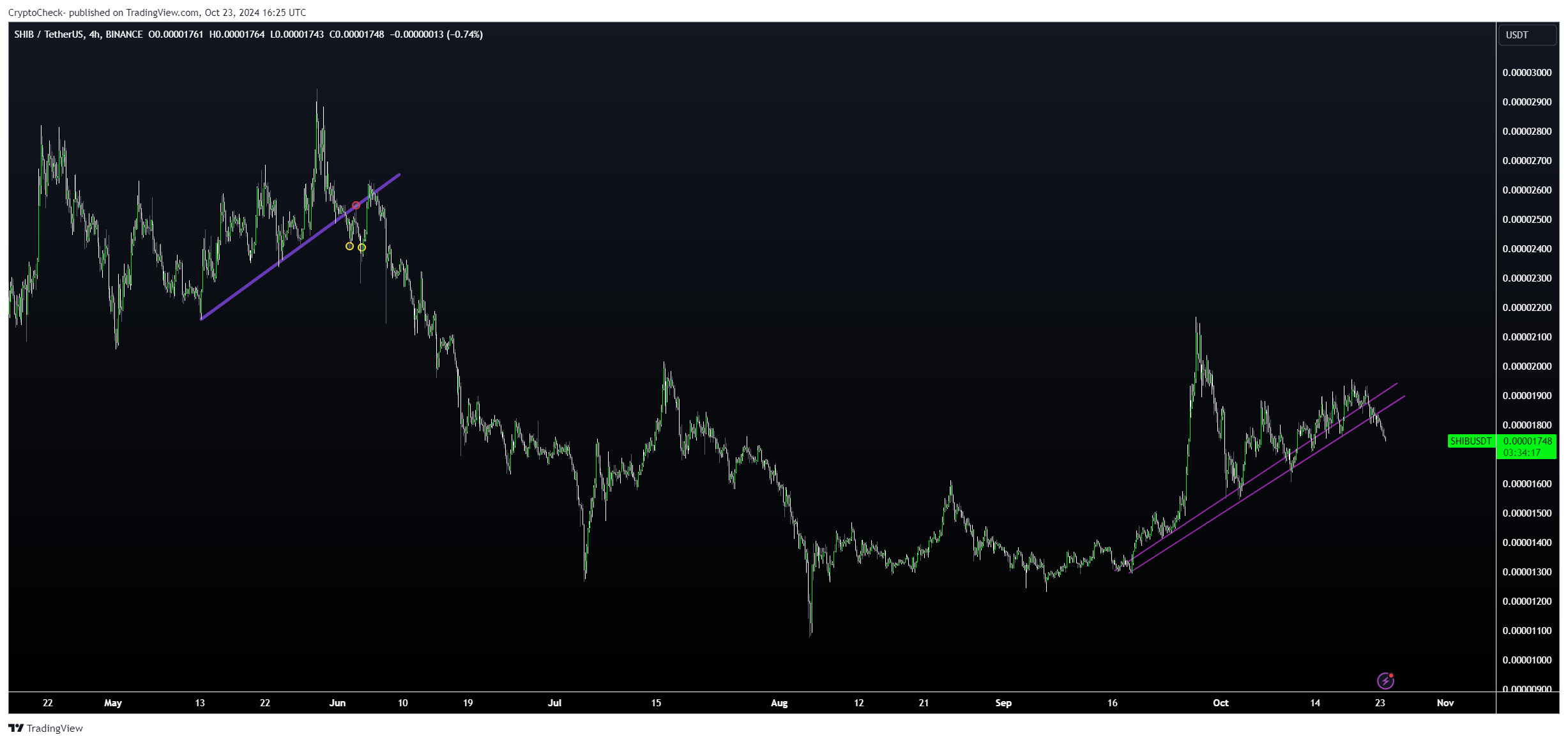 BINANCE:SHIBUSDT Chart Image by Crypto-Check-
