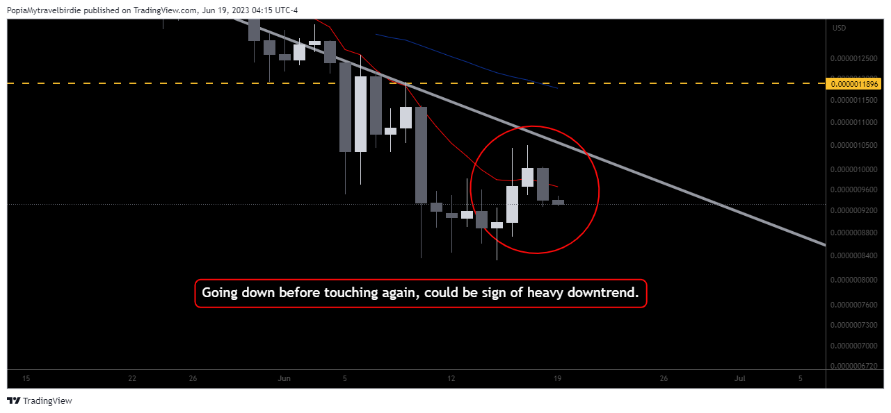 CRYPTO:PEPEUSD Chart Image by PopiaMytravelbirdie