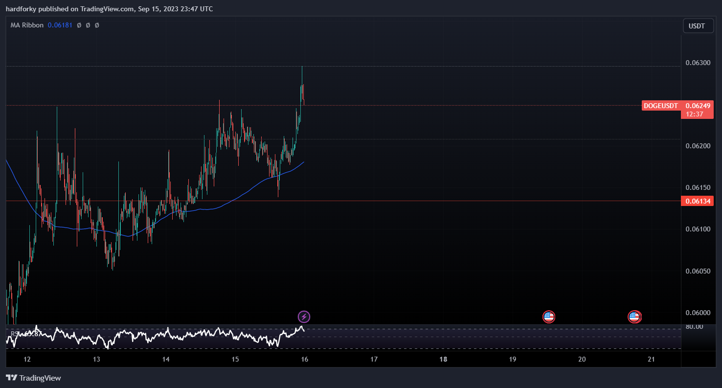 BINANCE:DOGEUSDT Chart Image by hardforky