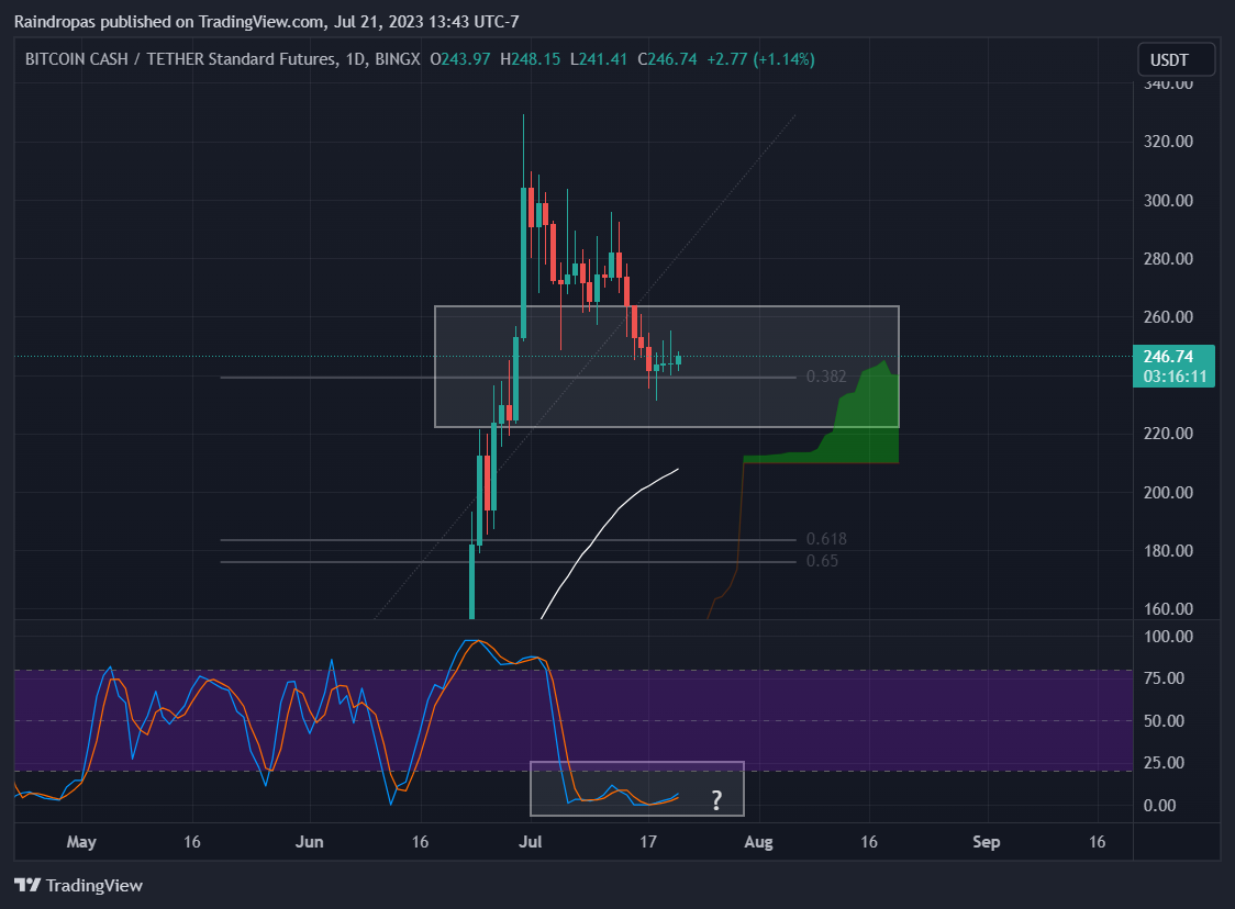 BINGX:BCHUSDT.PS Chart Image by Raindropas