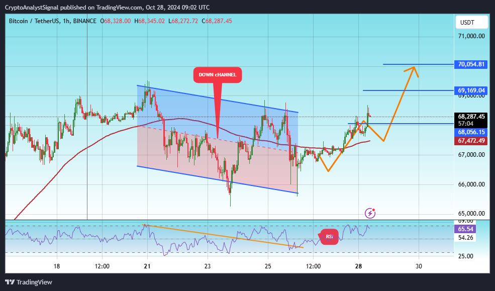 BINANCE:BTCUSDT Chart Image by CryptoAnalystSignal