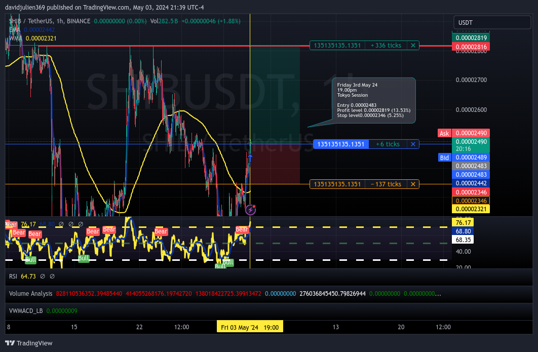 BINANCE:SHIBUSDT Chart Image by davidjulien369