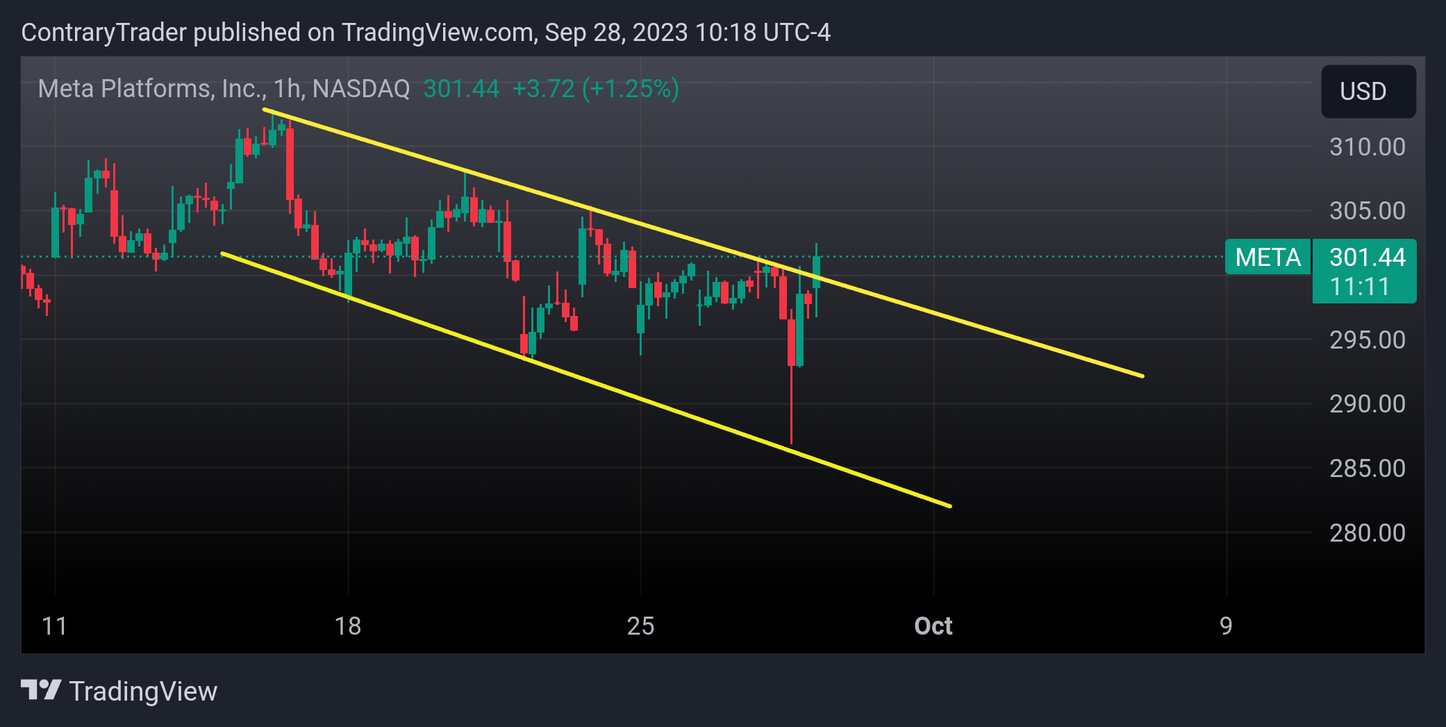 NASDAQ:META Chart Image by ContraryTrader