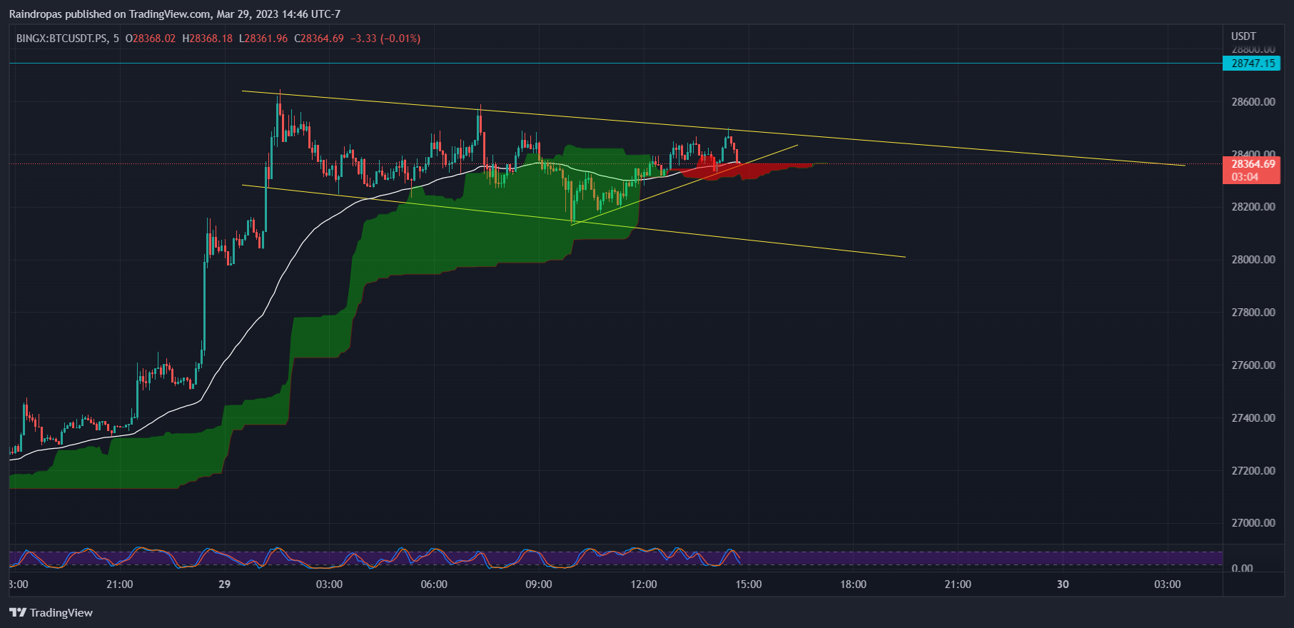 BINGX:BTCUSDT.PS Chart Image by Raindropas